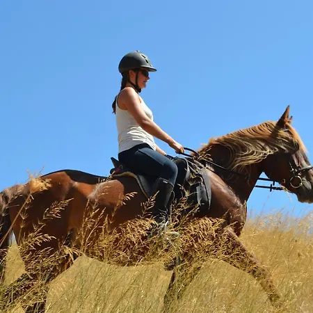 Country Velani Hotel 3*